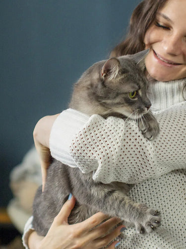 Good Relationship with Cat Banner