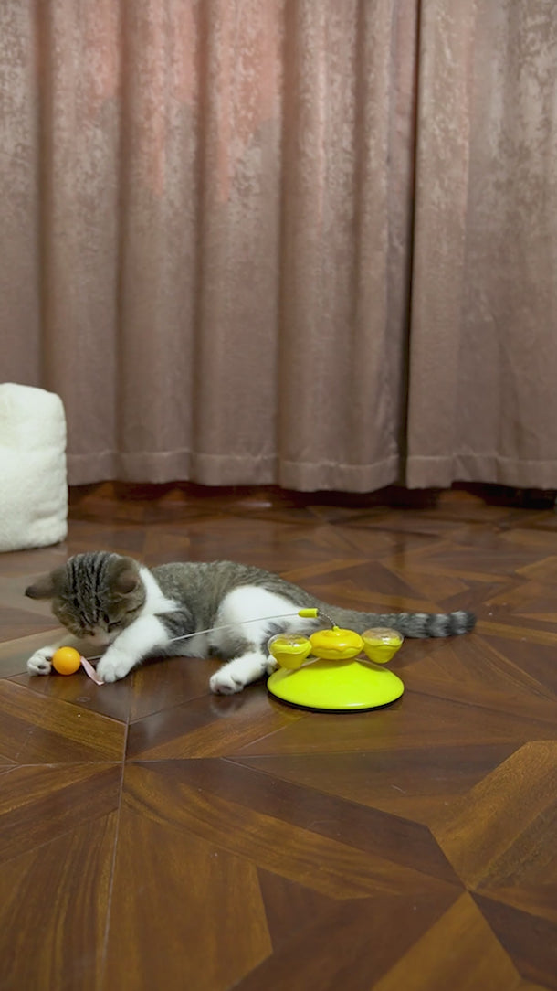 Interactive Cat Toy 