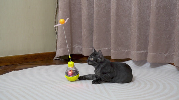 Interactive Cat Toy 
