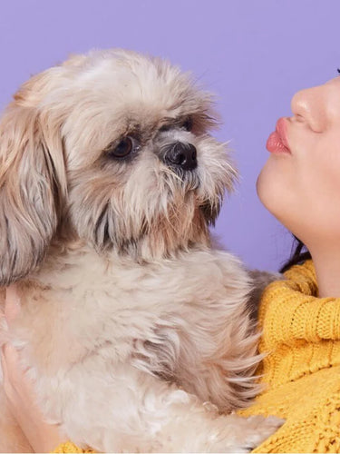 Good Relationship with Dog Banner| Kissing Dog